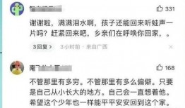 爆料致远中学事件视频播放,真相与争议交织